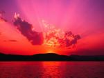 vip-blog